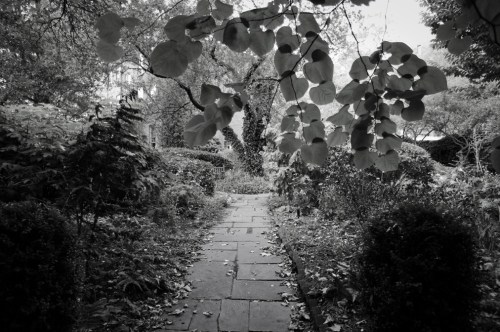 Entrance to the secret garden