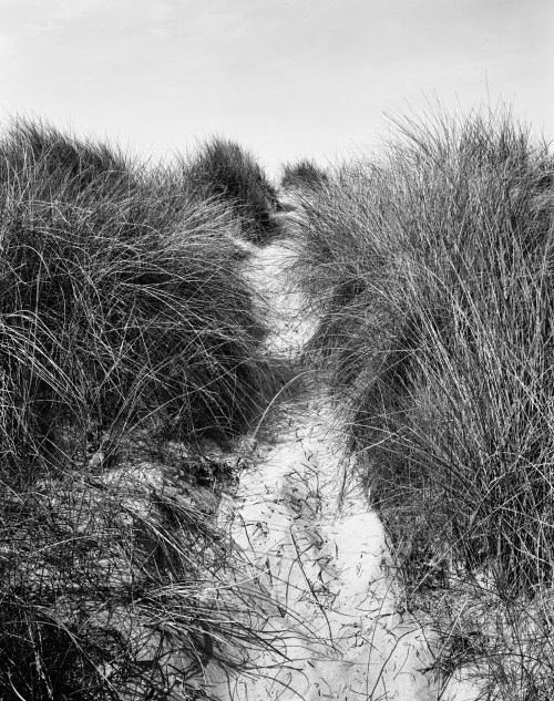 Utah Beach was taken with minimal losses. Thankfully. 