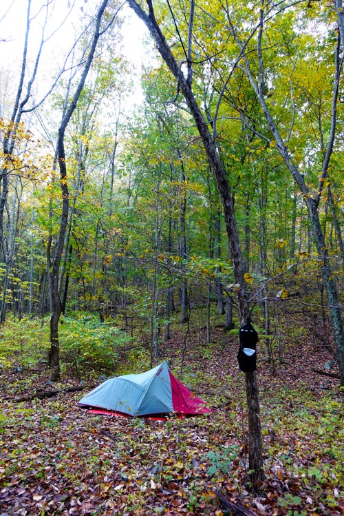 Home and Shelter. I have had this tent since 1993. 
