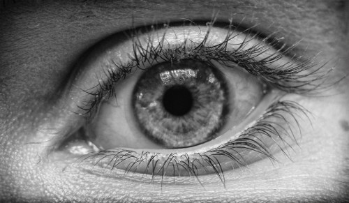 I honestly don't know who's eye this is. I found a folder nested deeply among other folders with about 10 different eyes. I barely recall shooting this.