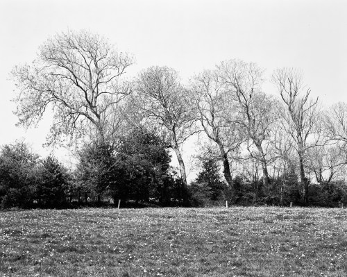 Brecourt Manor- This is a photograph of the site that Easy Company of the 101st Airborne assaulted 4 artillery batteries. The short battle is often cited as a classic example of small-unit tactics and leadership in overcoming a larger enemy force.
