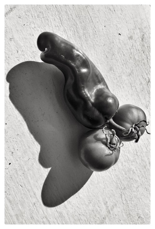 Still Life with the IPhone, you bet! This was a homage to Edward Weston's pepper. I added the cherry tomatoes to give the image a set of balls ;-)